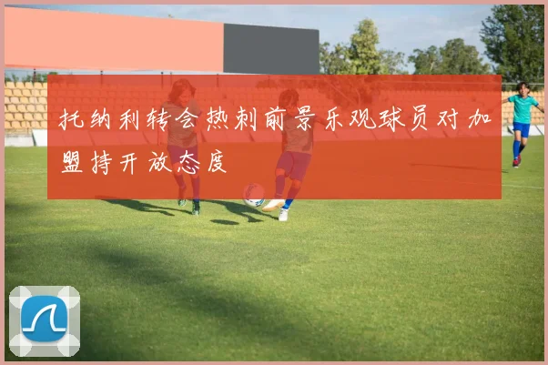托纳利转会热刺前景乐观球员对加盟持开放态度